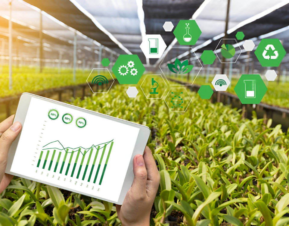 Digital Presence Strategy for Ag Businesses