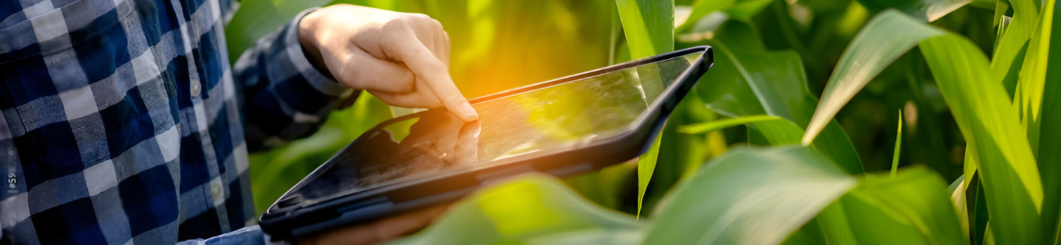 Cultivating Digital Growth for the Agriculture Industry2001p Agricultural website design and development