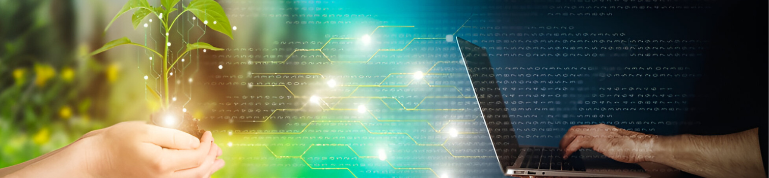 Cultivating Digital Growth for the Agriculture Industry655 Digital presence strategy for Ag businesses and farms